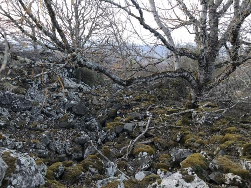 Notre Dame du Mont Carmel [26-03-2022](IMG_4658).jpg